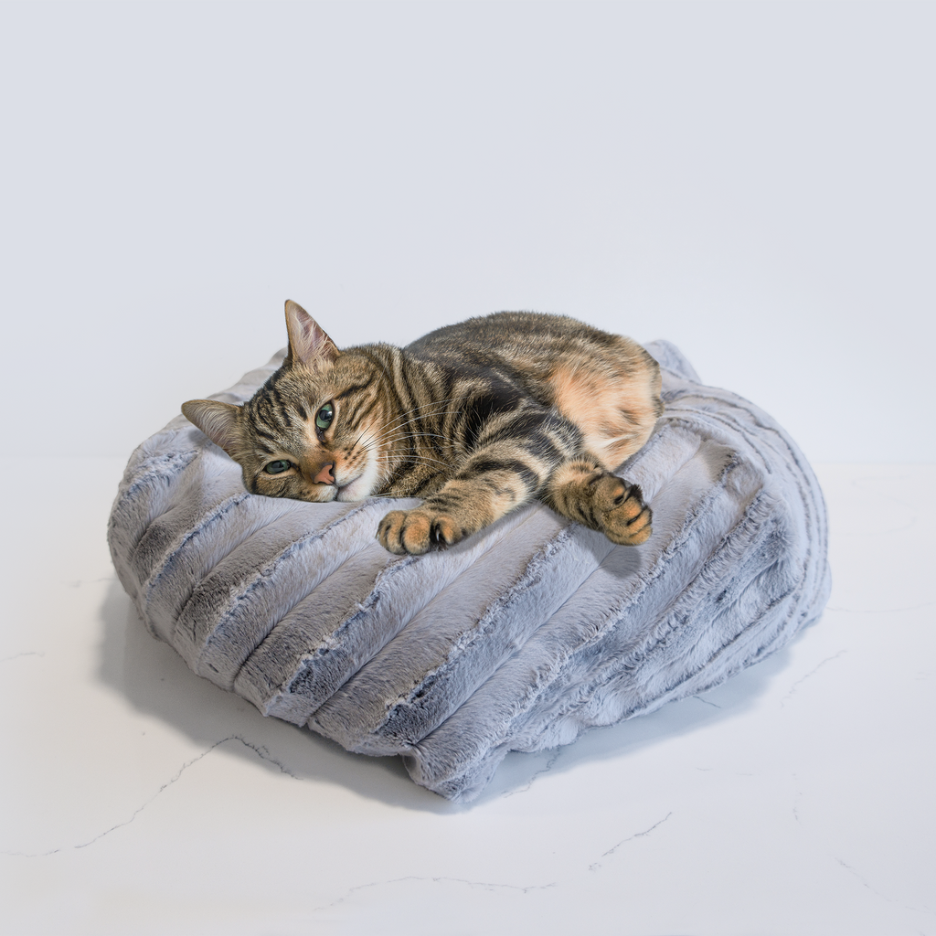 上海新款爱心型猫垫宠物垫